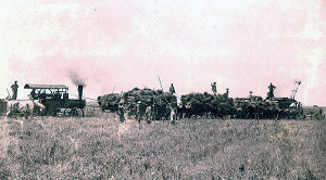 Davidson Threshing Machine 1921